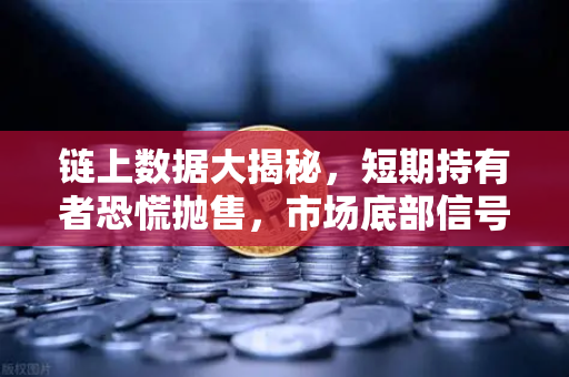 链上数据大揭秘，短期持有者恐慌抛售，市场底部信号已现？