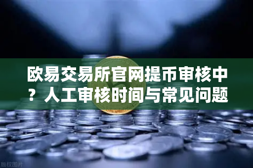 欧易交易所官网提币审核中？人工审核时间与常见问题全解析-第1张图片-欧易交易所