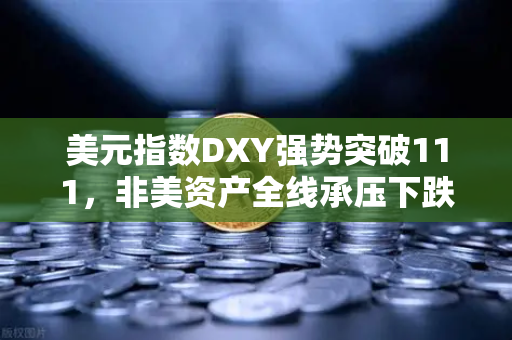 美元指数DXY强势突破111，非美资产全线承压下跌，投资者该如何避险？