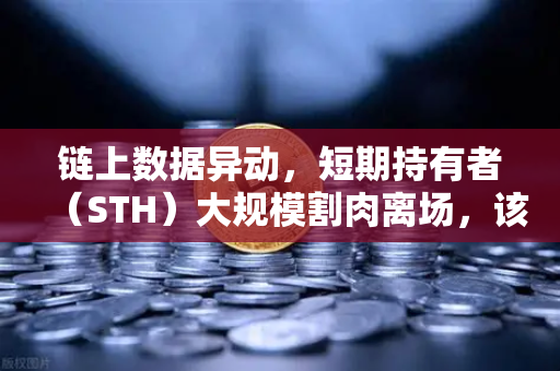 链上数据异动，短期持有者（STH）大规模割肉离场，该恐惧还是贪婪？