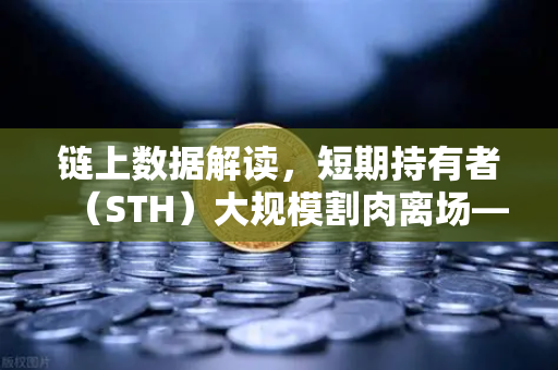 链上数据解读，短期持有者（STH）大规模割肉离场—市场见底信号还是恐慌延续？
