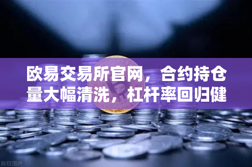 欧易交易所官网，合约持仓量大幅清洗，杠杆率回归健康水平—市场触底信号已现？-第1张图片-欧易交易所