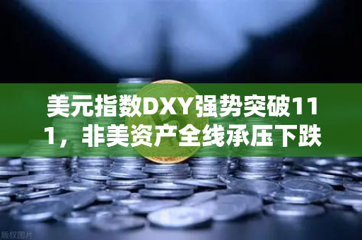 美元指数DXY强势突破111，非美资产全线承压下跌，全球金融市场的投资者如何应对？