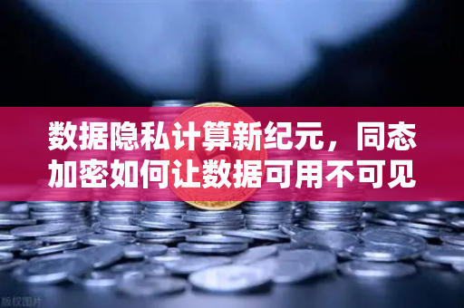 数据隐私计算新纪元，同态加密如何让数据可用不可见