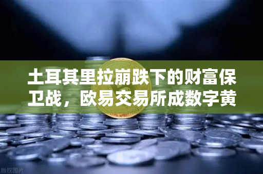 土耳其里拉崩跌下的财富保卫战,欧易交易所成数字黄金避风港-第1张图片-欧易交易所 土耳其里拉崩跌下的财富保卫战,欧易交易所成数字黄金避风港-第1张图片-欧易交易所