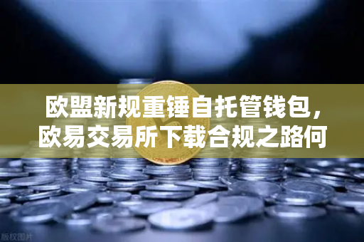 欧盟新规重锤自托管钱包，欧易交易所下载合规之路何去何从？