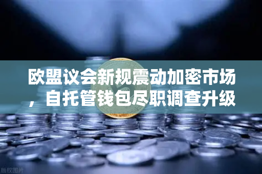 欧盟议会新规震动加密市场，自托管钱包尽职调查升级，欧易交易所如何应对？