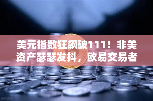 美元指数狂飙破111！非美资产瑟瑟发抖，欧易交易者如何避险求生？-第1张图片-欧易交易所
