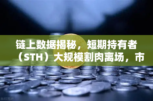 链上数据揭秘，短期持有者（STH）大规模割肉离场，市场见底信号来了？-第1张图片-欧易交易所