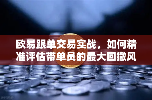 欧易跟单交易实战，如何精准评估带单员的最大回撤风险？-第1张图片-欧易交易所