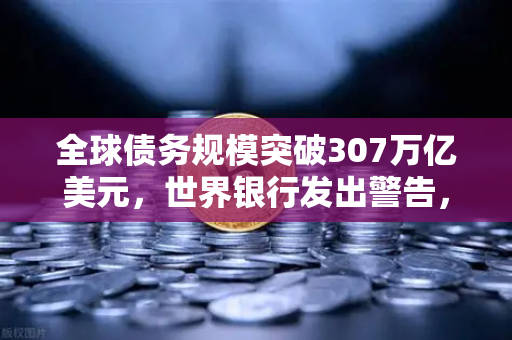 全球债务规模突破307万亿美元，世界银行发出警告，欧易交易所官网解读金融风险与投资新机遇-第1张图片-欧易交易所