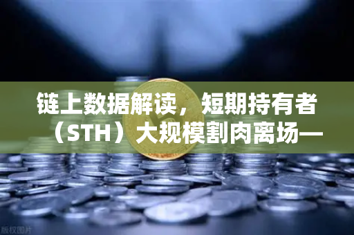 链上数据解读，短期持有者（STH）大规模割肉离场—市场底部信号已至？-第1张图片-欧易交易所