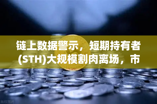 链上数据警示，短期持有者(STH)大规模割肉离场，市场或迎来关键拐点-第1张图片-欧易交易所