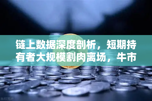 链上数据深度剖析，短期持有者大规模割肉离场，牛市信号还是恐慌顶点？
