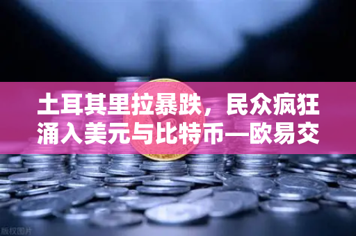 土耳其里拉暴跌，民众疯狂涌入美元与比特币—欧易交易所成避险首选