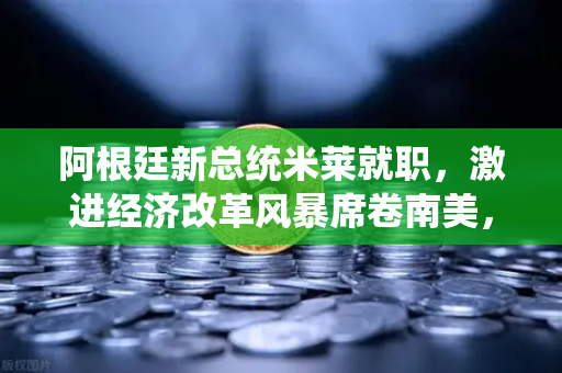 阿根廷新总统米莱就职，激进经济改革风暴席卷南美，欧易交易所下载量激增引关注