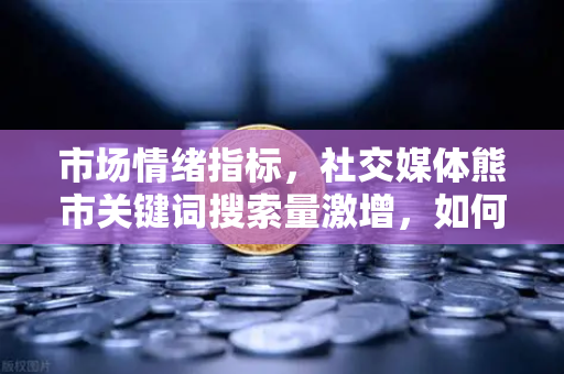市场情绪指标，社交媒体熊市关键词搜索量激增，如何把握投资风向？