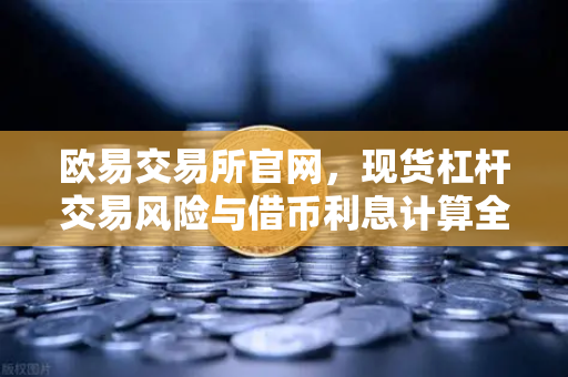 欧易交易所官网，现货杠杆交易风险与借币利息计算全解析