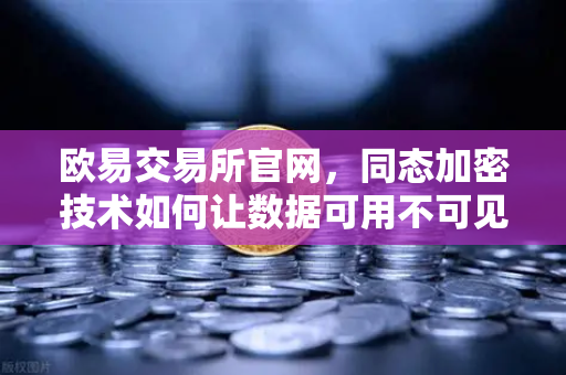 欧易交易所官网，同态加密技术如何让数据可用不可见