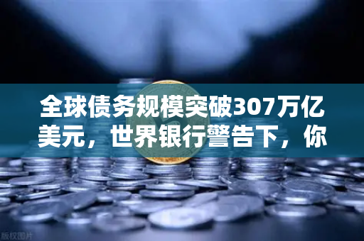 全球债务规模突破307万亿美元，世界银行警告下，你的钱包如何避险？