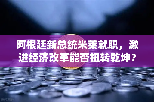 阿根廷新总统米莱就职，激进经济改革能否扭转乾坤？