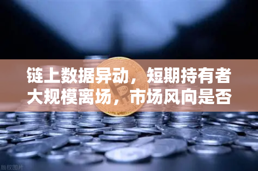 链上数据异动，短期持有者大规模离场，市场风向是否已变？