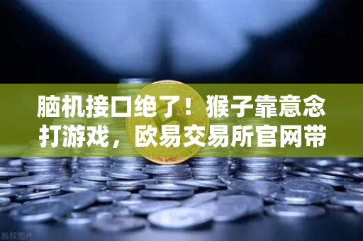 脑机接口绝了！猴子靠意念打游戏，欧易交易所官网带你纵观科技新风暴