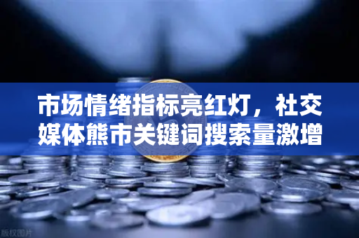市场情绪指标亮红灯，社交媒体熊市关键词搜索量激增，投资者如何应对？