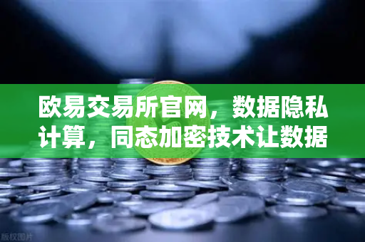 欧易交易所官网，数据隐私计算，同态加密技术让数据可用不可见