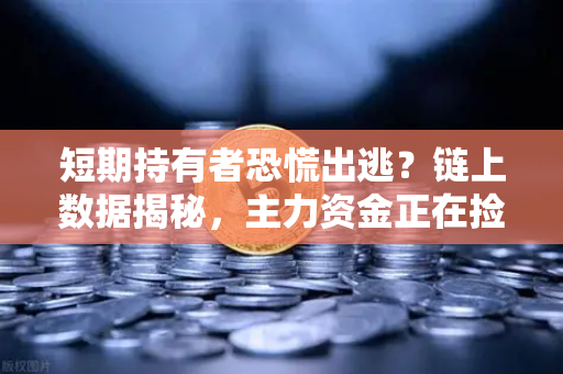 短期持有者恐慌出逃？链上数据揭秘，主力资金正在捡便宜筹码