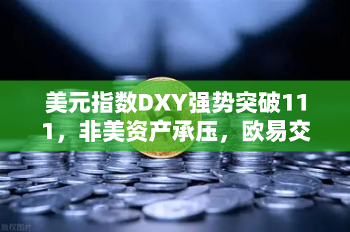 美元指数DXY强势突破111，非美资产承压，欧易交易所用户如何应对全球资产变局？