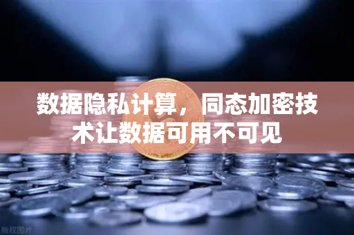数据隐私计算，同态加密技术让数据可用不可见