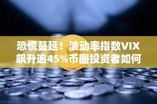 恐慌蔓延！波动率指数VIX飙升逾45%币圈投资者如何应对？