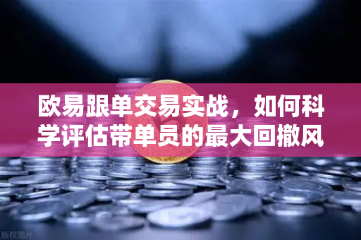 欧易跟单交易实战，如何科学评估带单员的最大回撤风险？