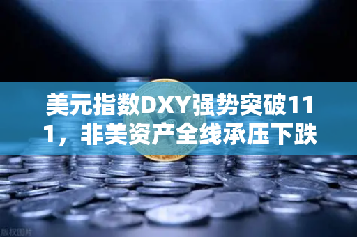 美元指数DXY强势突破111,非美资产全线承压下跌,欧易交易所官网深度解析全球市场震荡-第1张图片-欧易交易所 美元指数DXY强势突破111,非美资产全线承压下跌,欧易交易所官网深度解析全球市场震荡-第1张图片-欧易交易所