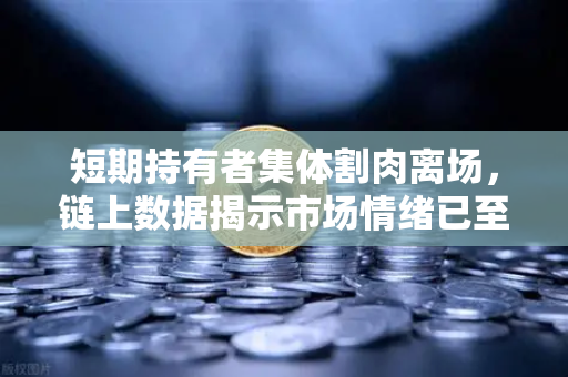 短期持有者集体割肉离场，链上数据揭示市场情绪已至冰点