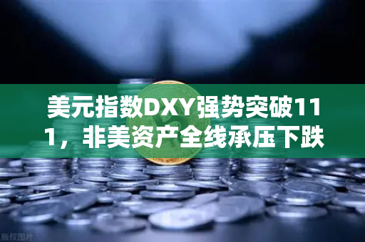 美元指数DXY强势突破111，非美资产全线承压下跌，市场震荡下的投资策略解析