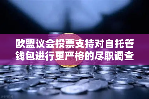 欧盟议会投票支持对自托管钱包进行更严格的尽职调查，加密监管新时代来临-第1张图片-欧易交易所