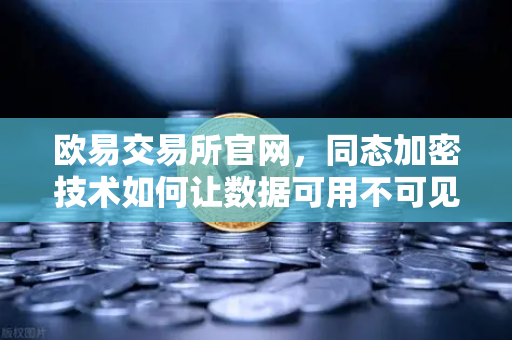 欧易交易所官网，同态加密技术如何让数据可用不可见？