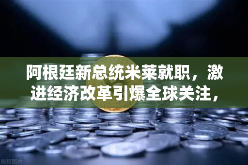 阿根廷新总统米莱就职，激进经济改革引爆全球关注，欧易交易所官网带来加密市场新机遇