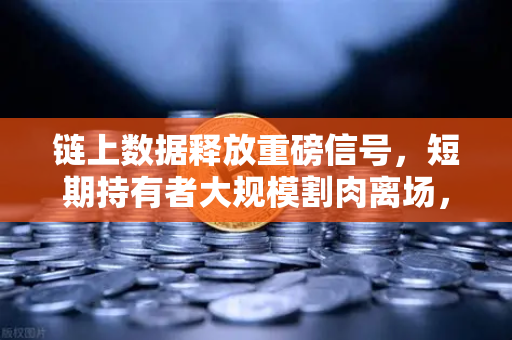 链上数据释放重磅信号，短期持有者大规模割肉离场，抄底时机到了吗？